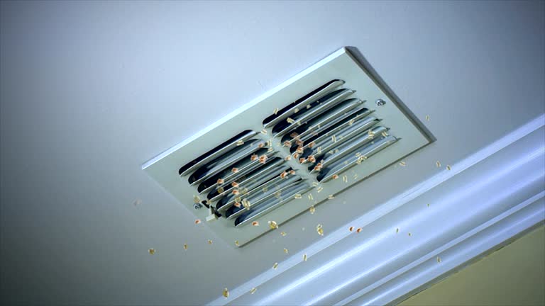 Best Ductwork Cleaning Services  in Beulah, ND