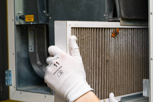 Best Air Duct Cleaning Near Me  in Beulah, ND